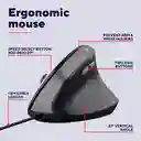 Mouse Trust Bayo Ii Alámbrico Diseño Vertical