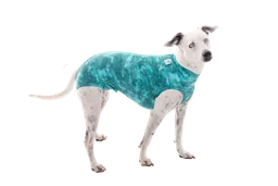 Faja Post Quirugica Cirugias Abdominales Dry Ligth Para Perro Macho Y Hembra Color Verde Talla 6 Pacientes 8 Kg A 10 Kg