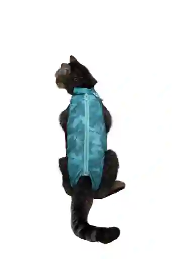 Faja Post Quirugica Cirugias Abdominales Dry Ligth Para Gato Macho Y Hembra Color Verde Talla 0 Pacientes 1.7 Kg A 2.3 Kg