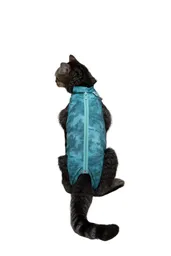 Faja Post Quirugica Cirugias Abdominales Dry Ligth Para Gato Macho Y Hembra Color Verde Talla 1 Pacientes 2.3 Kg A 3 Kg