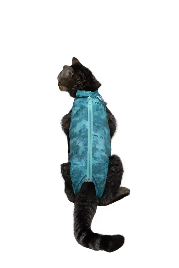 Faja Post Quirugica Cirugias Abdominales Dry Ligth Para Gato Macho Y Hembra Color Verde Talla 1 Pacientes 2.3 Kg A 3 Kg