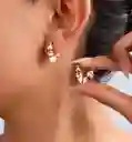 Candongas Solara