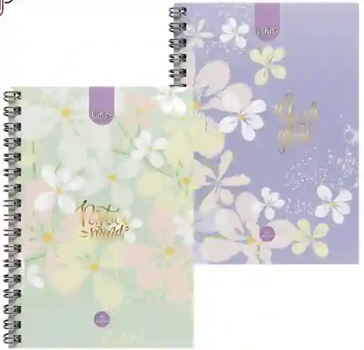Cuadernos 5 Materia Pequeño 160h-350pag Luki