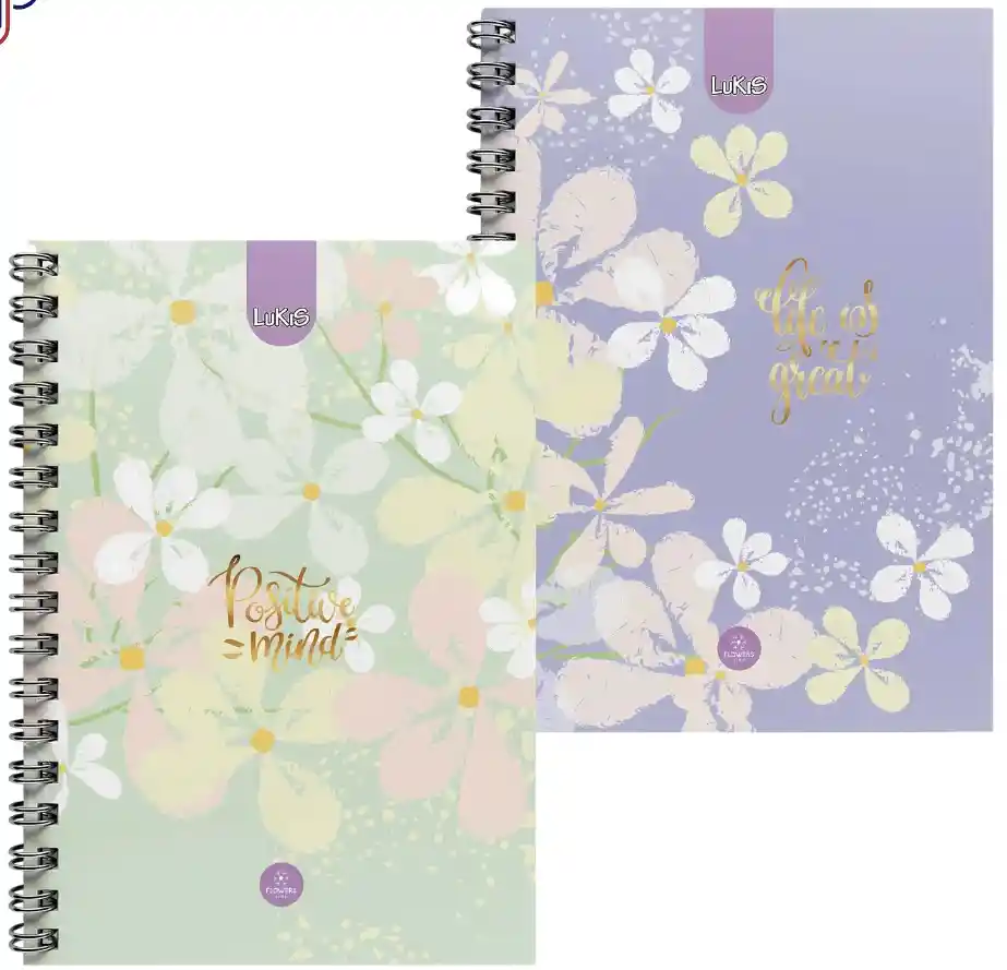 Cuadernos 5 Materia Pequeño 160h-350pag Luki