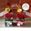 Cajitas Armonia