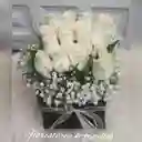 Cajitas Armonia