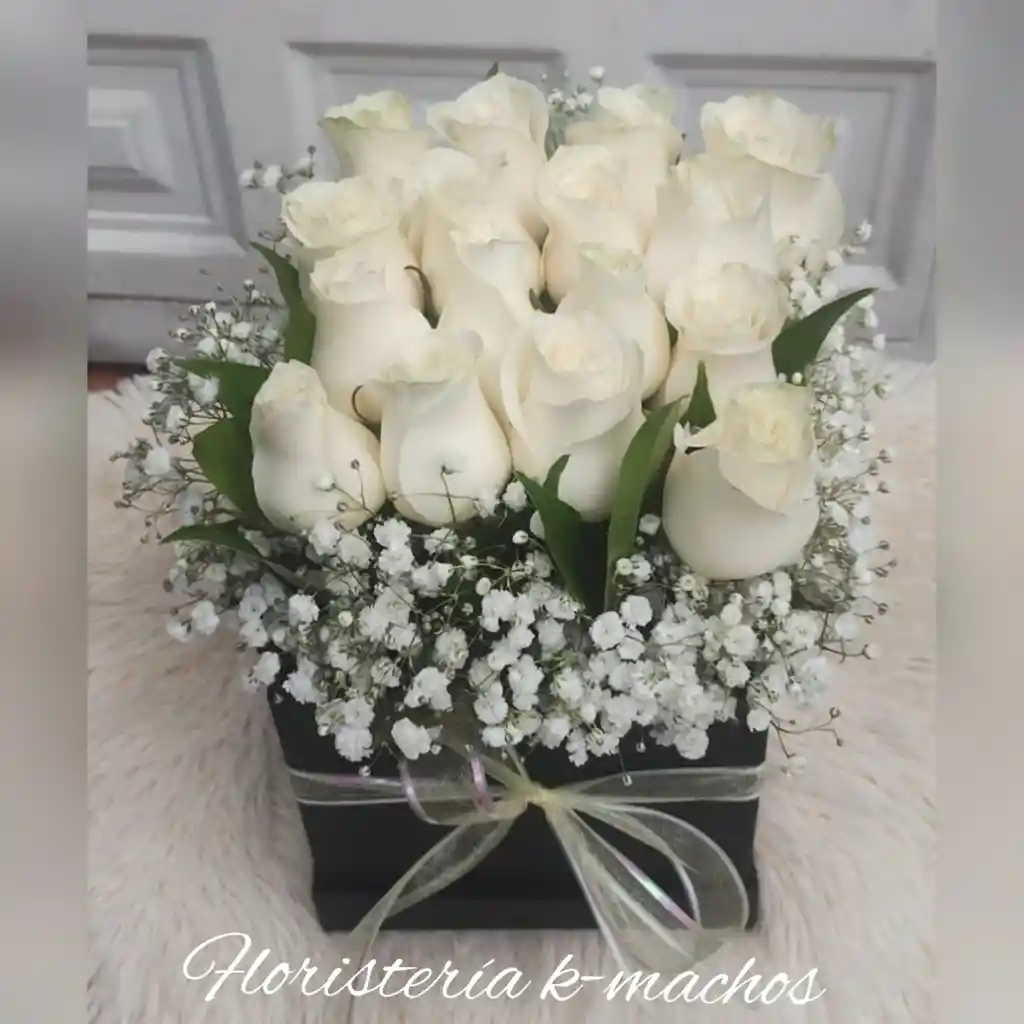 Cajitas Armonia