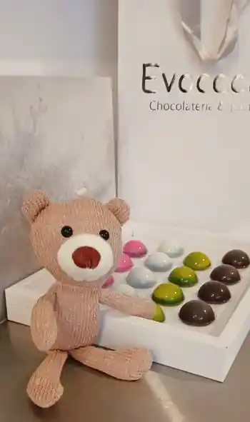 Choco Bear Tentacion
