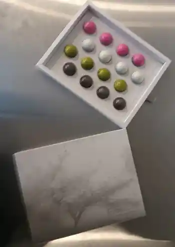 Choco Bear Tentacion