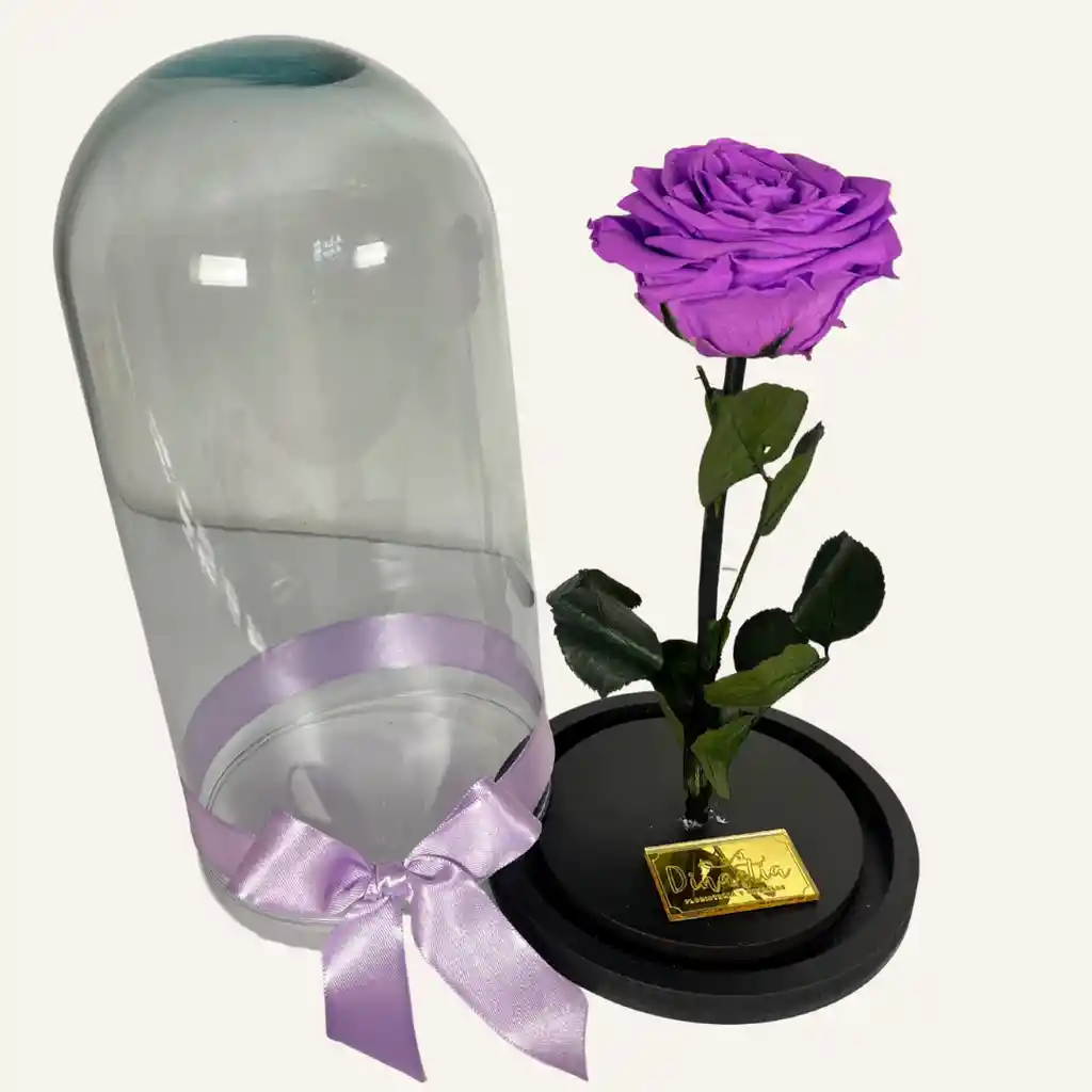 Rosa Preservada En Cúpula Color Rmorado De 30 Cm