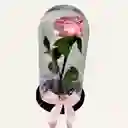 Regalo Elegante, Rosa Preservada Rosada En Cupula De 30 Cm + Luces Led
