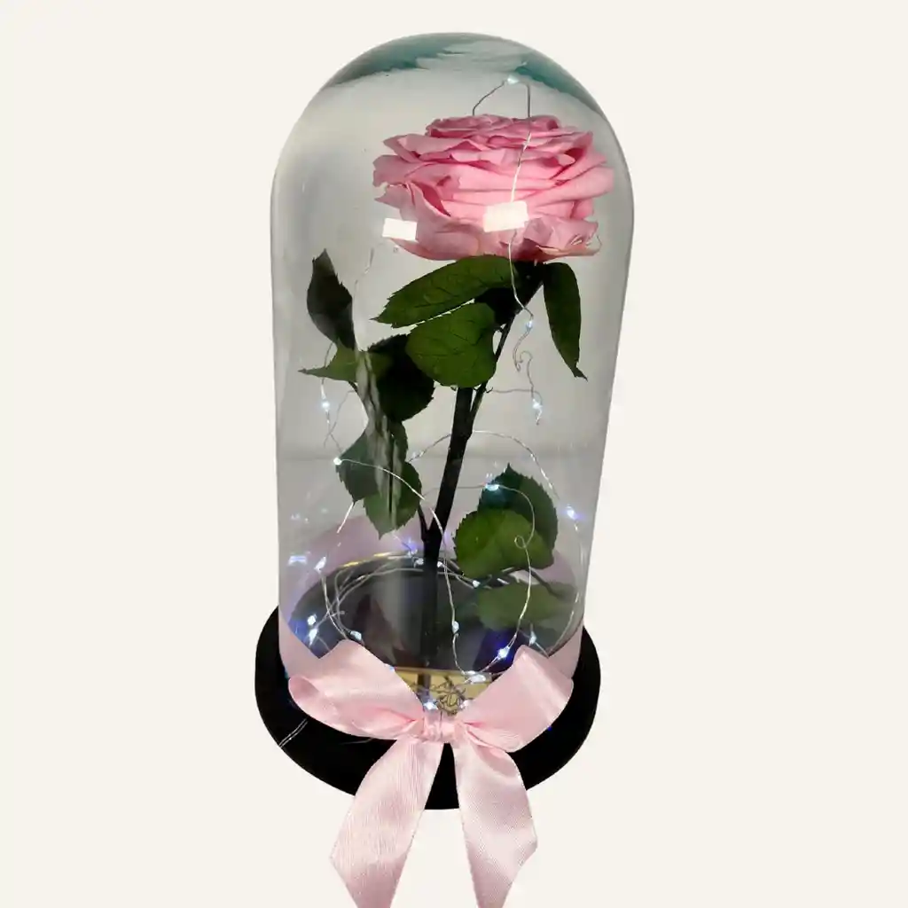 Regalo Elegante, Rosa Preservada Rosada En Cupula De 30 Cm + Luces Led