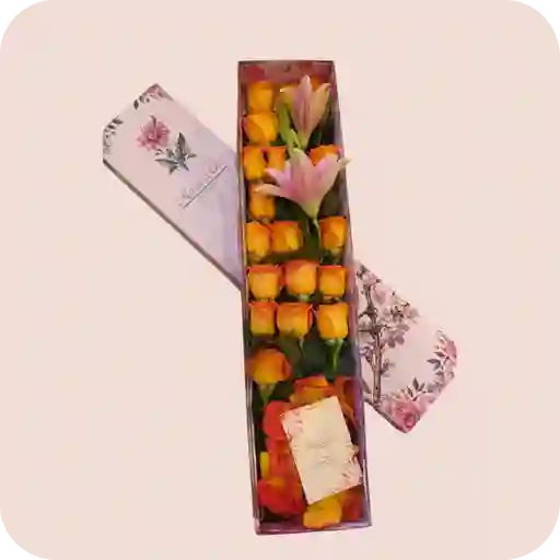 Caja De 18 Rosas Surtidas + 2 Tulipanes