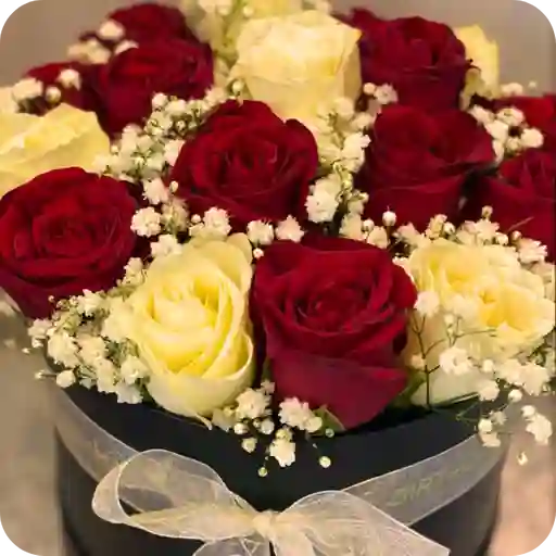 Caja Floral De 15 Rosas Rojas & Blancas