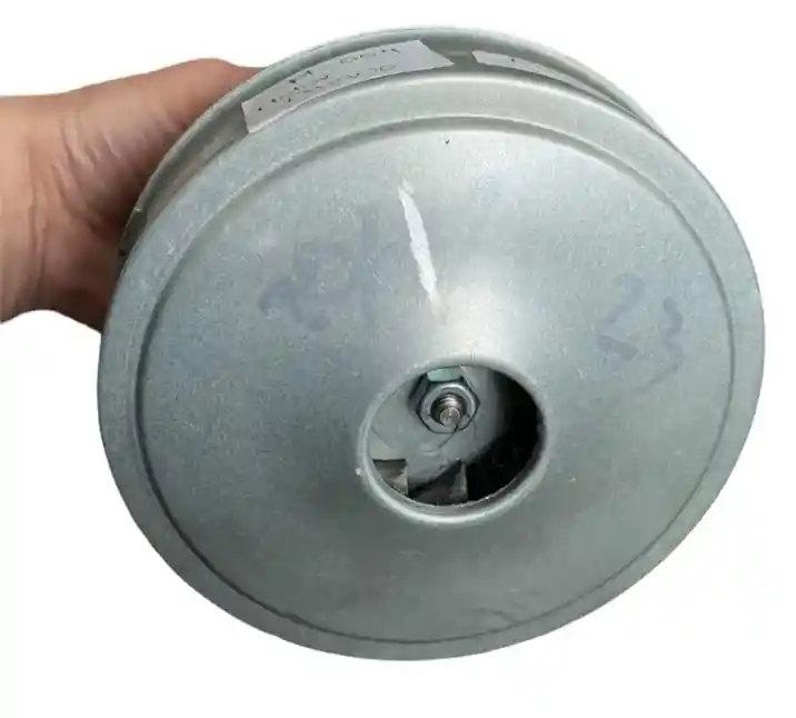 Motor Aspiradora Domestica Solo Polvo 120v Electrolux- Daewo