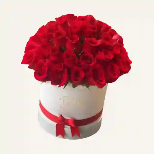 Hongo De Rosas Rojas X 50