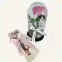 Combo Rosa Preservada Blanca Premium + Caja De 8 Fresas Con Chocolate
