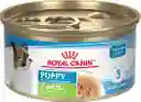 Royal Canin Shn Xsmall Cachorros Lata