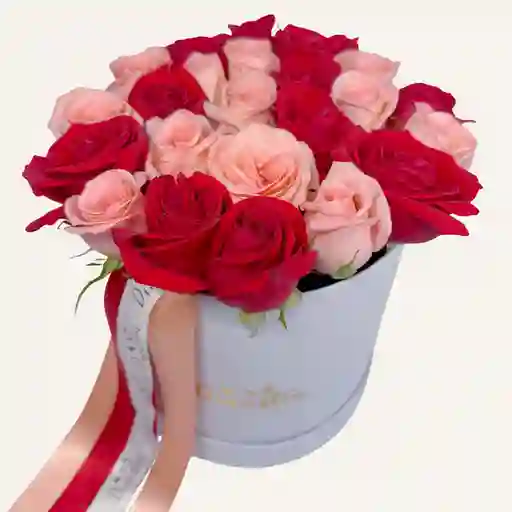 Cilindro De Rosas Rojas Y Rosadas X 25