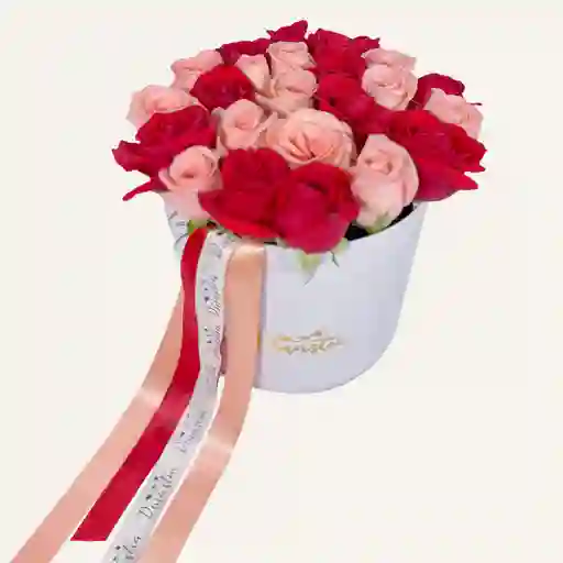 Cilindro De Rosas Rojas Y Salmon X 25