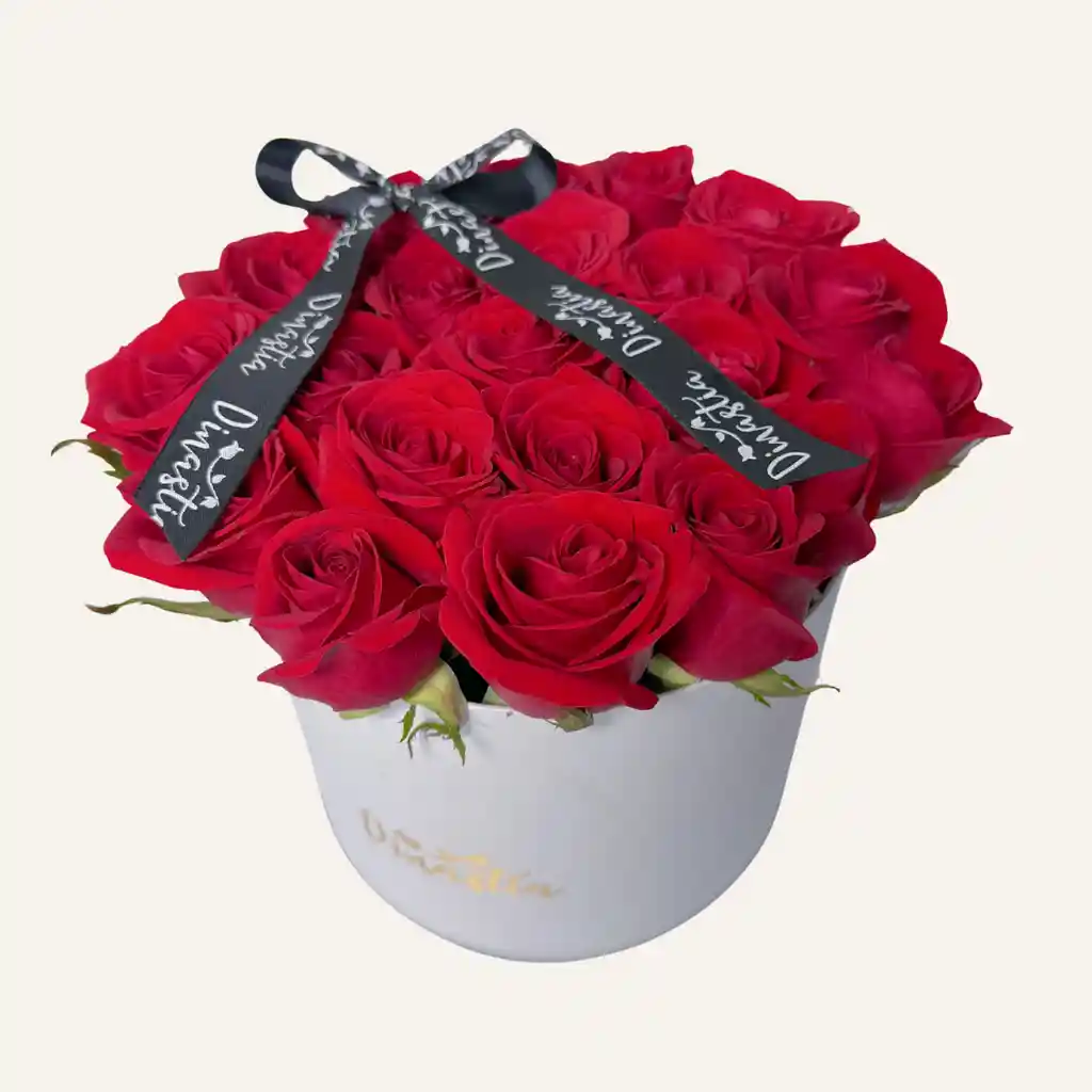 Cilindro De Rosas Rojas X 25