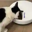 Comedero Automático Para Mascotas Closer Pets Con Cinco Comidas Y Cuencos De Acero Inoxidable (c500)