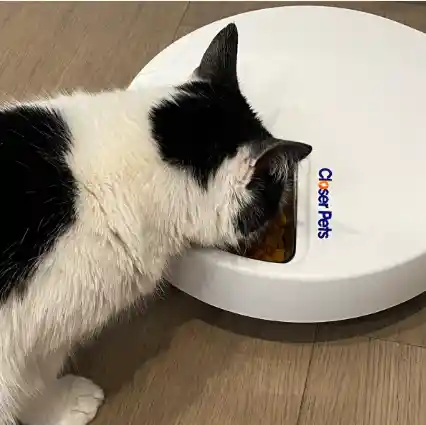 Comedero Automático Para Mascotas Closer Pets Con Cinco Comidas Y Cuencos De Acero Inoxidable (c500)