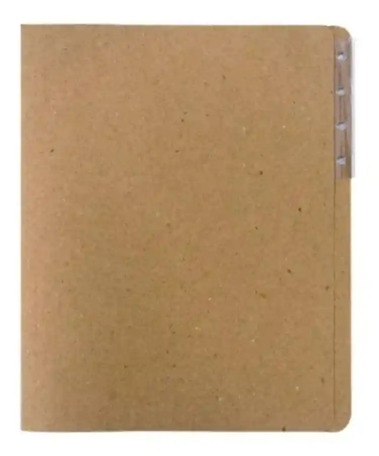 Carpeta De Carton Legajadora Carta - Por Unidad