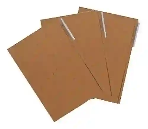 Carpeta De Carton Oficio Economica - Por Unidad