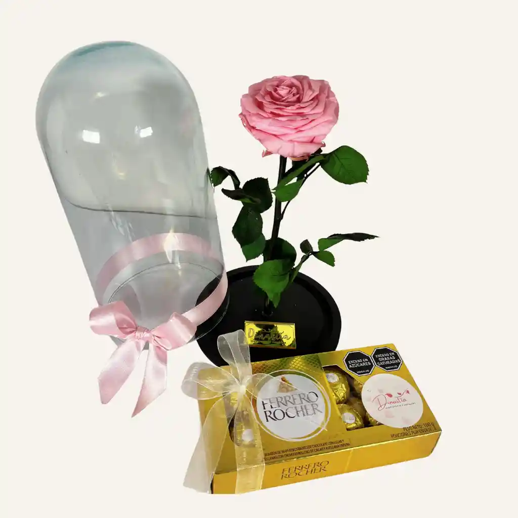 Rosa Preservada Rosada Premium + Ferrero X8