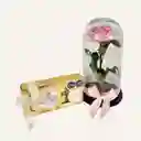 Rosa Preservada Rosada Premium + Ferrero X8
