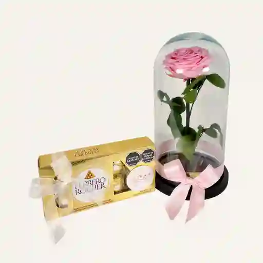 Rosa Preservada Rosada Premium + Ferrero X8