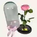 Regalo Elegante, Rosa Preservada Rosada En Cupula De 30 Cm