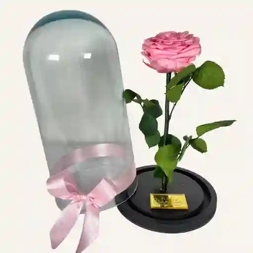 Regalo Elegante, Rosa Preservada Rosada En Cupula De 30 Cm