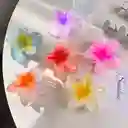 Pinza Caimán Gancho Flor Hawaiana Pelo Cabello