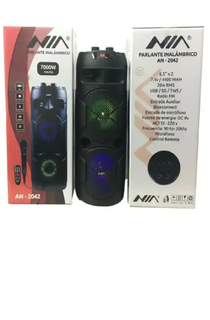 Parlante Nia An-2042 Portátil Con Bluetooth