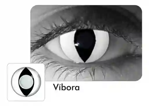 Halloween Lentes De Contacto Vibora Blanco Y Negro
