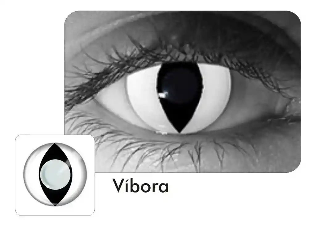 Halloween Lentes De Contacto Vibora Blanco Y Negro