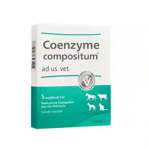 Coenzyme Caja X 5 Ampollas