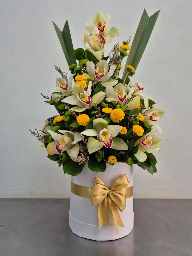 Cilindro De Orquidea