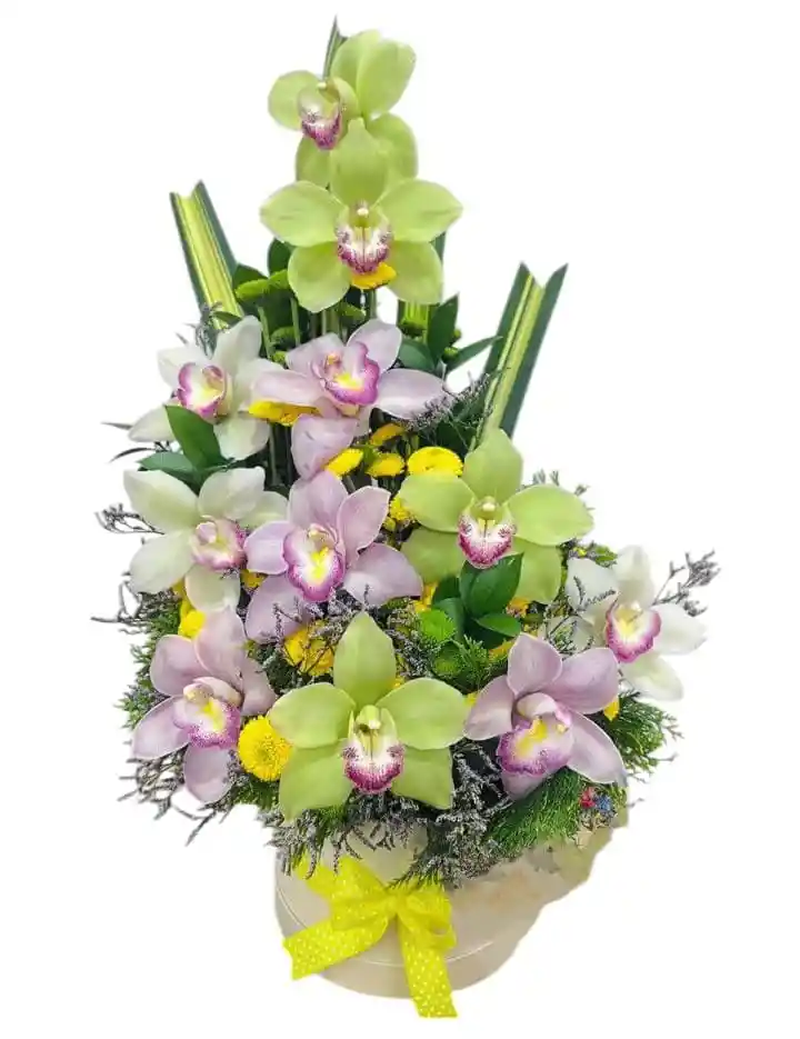 Ramo De Orquidea