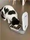 Comedero Electronico Pequeño Closer Pets