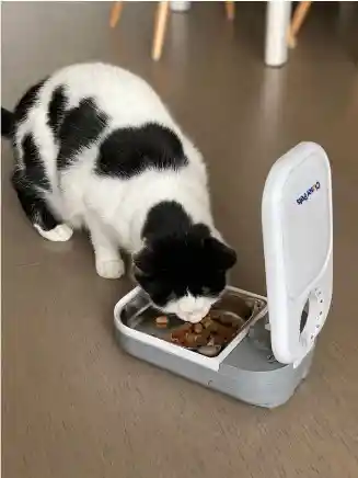 Comedero Electronico Pequeño Closer Pets