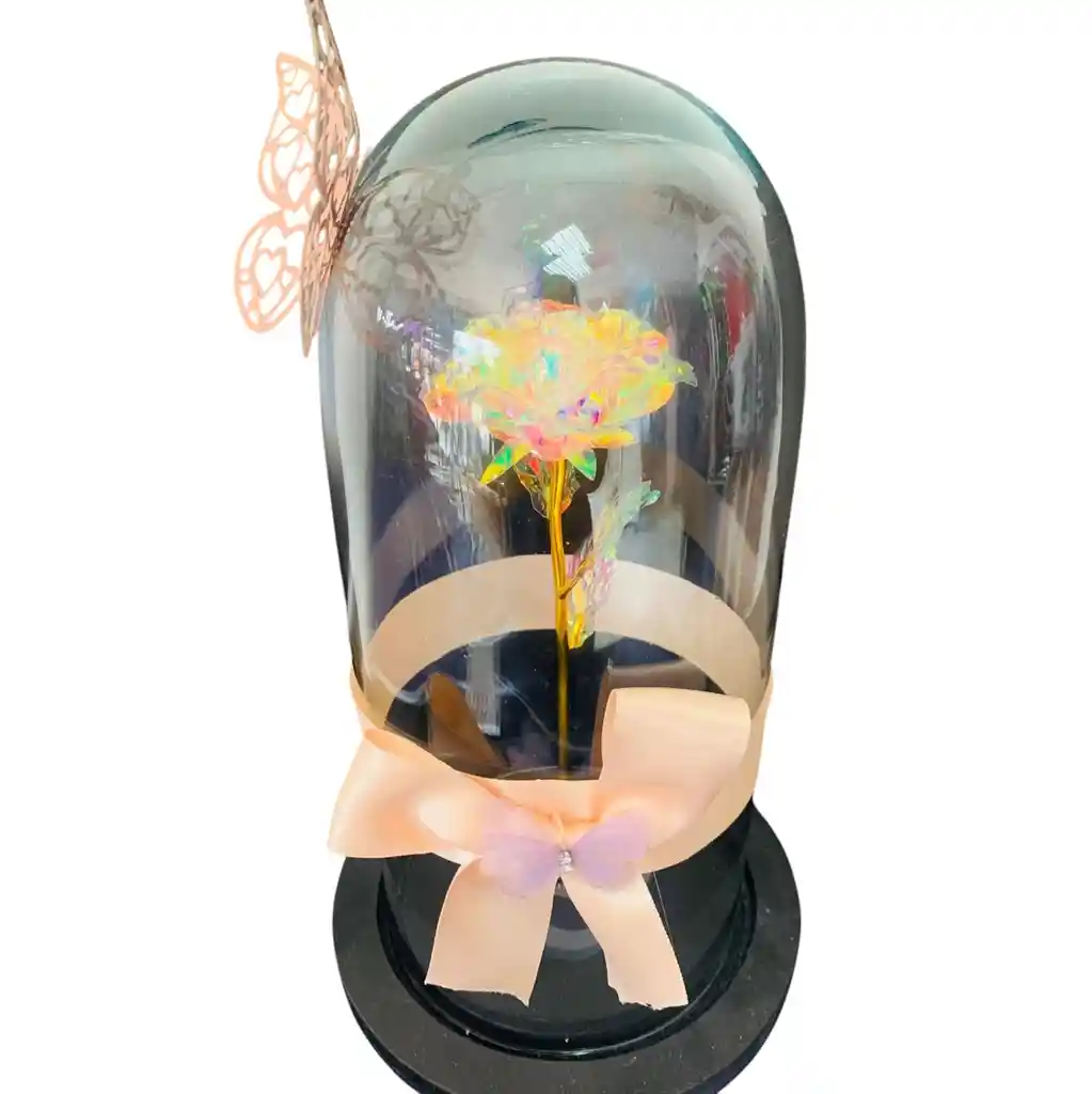 Rosa Tornasol En Cúpula De Vidrio