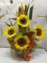 Girasoles Saludable Con Fruta