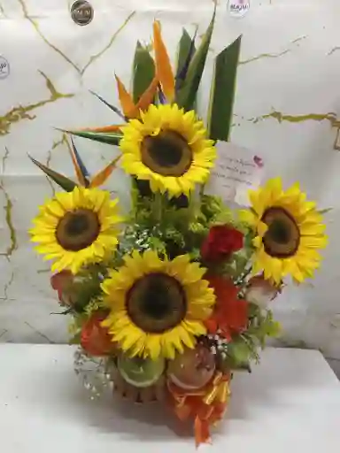 Girasoles Saludable Con Fruta