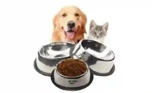 Plato Metalico Para Comida De Mascotas Tamaño Pequeño Comedero Para Perros Y Gatos