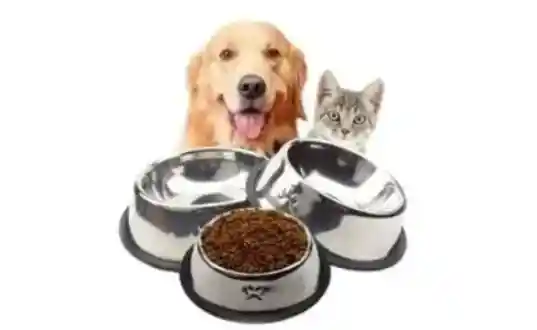 Plato Metalico Para Comida De Mascotas Tamaño Pequeño Comedero Para Perros Y Gatos