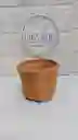 Maceta Hexagonal O Redonda Terracota Grande