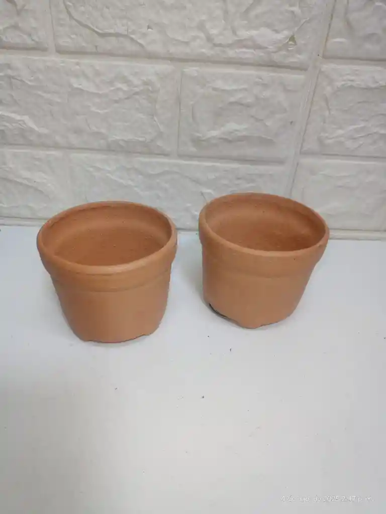 Maceta Hexagonal O Redonda Terracota Grande
